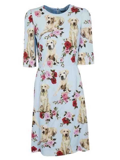 dolce gabbana kleid labradors|Highlights .